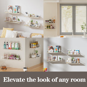 Amaoot living room display shelf holding plants, books, and photos