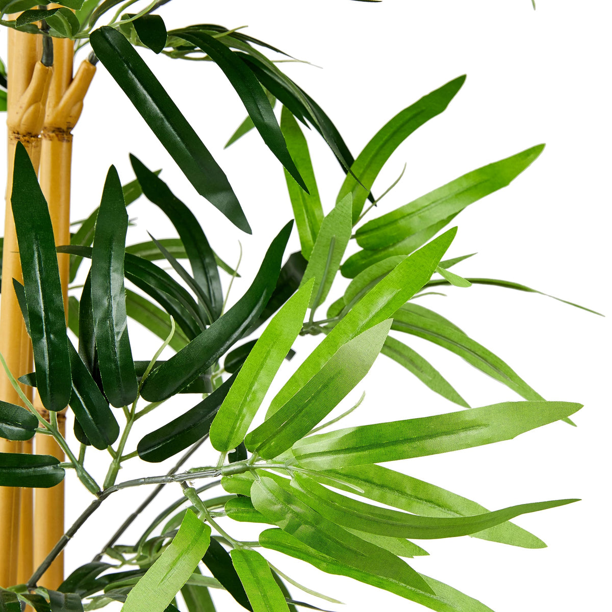 Amazon Basics indoor decor with green leaves for home or office ambiance.