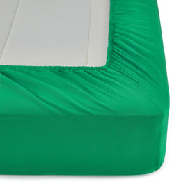 Amazon Basics color-variation image shows twin green option for kids.