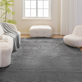 Amazon Basics fluffy rug in a living room scene adds warmth and comfort