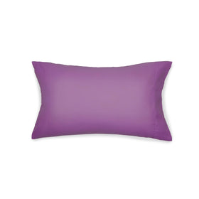 Amazon Basics pillow sham with bluish flowers coordinates with the set
