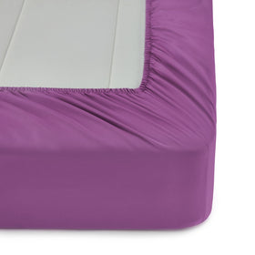 Amazon Basics pillowcases simplify bedtime laundry and organization.