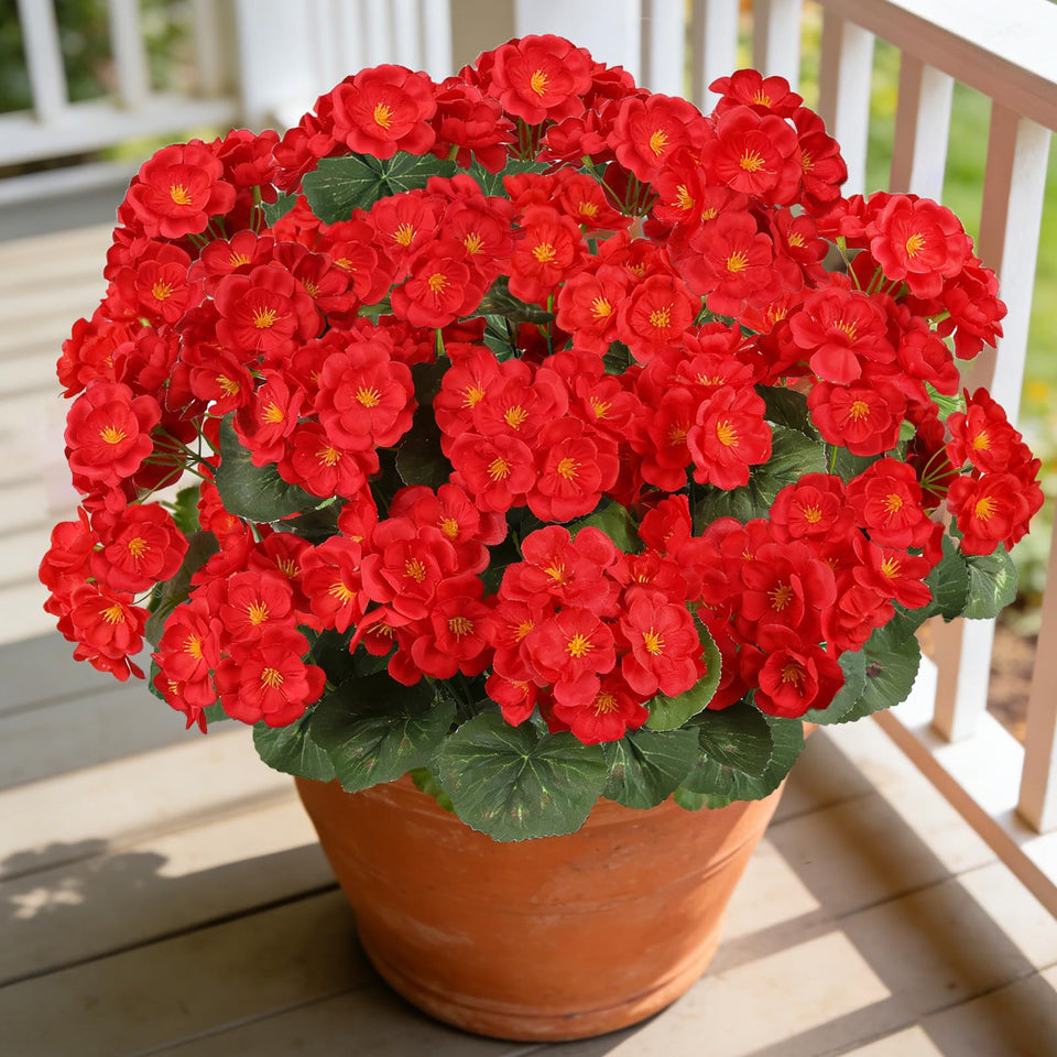 AmberFun outdoor red geraniums six-bundle arrangement adds lasting color for planters.