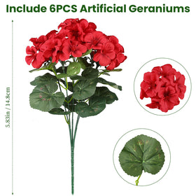 AmberFun patio-ready geraniums provide all-season color and charm.