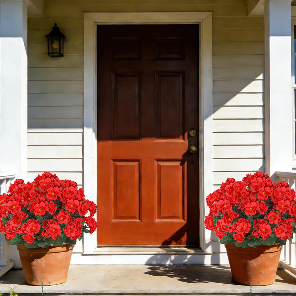 AmberFun UV-resistant geraniums withstand sun and rain for porch and patio decor.