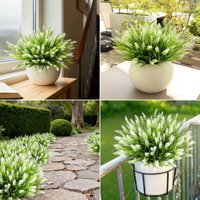 AmberFun vibrant greenery setup for garden and home.