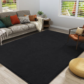 Amearea easy-clean rug ready for quick maintenance.