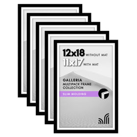 Americanflat 12x18 frame with polished plexiglass for crystal-clear displays.