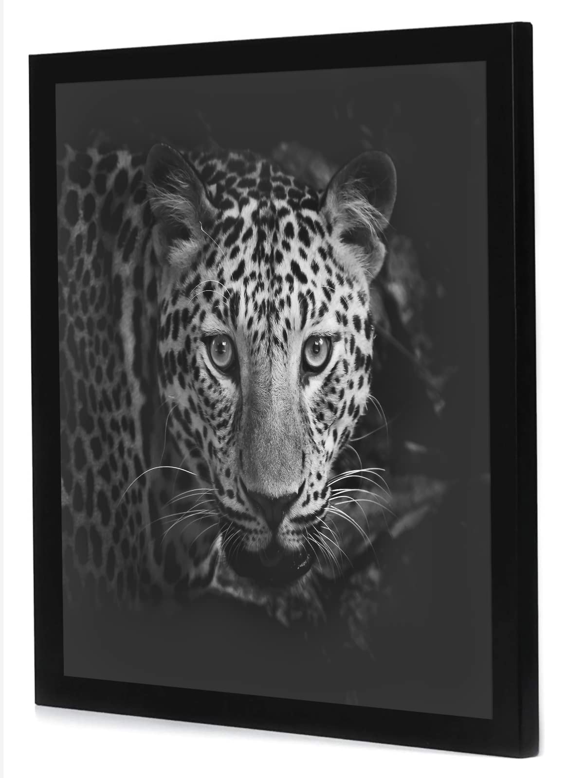 Americanflat Epic Collection 17x17 frame sturdy backboard supports secure memory display