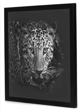 Americanflat Epic Collection 17x17 frame sturdy backboard supports secure memory display