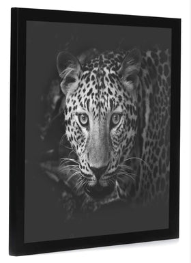 Americanflat Epic Collection 17x17 frame black finish on wall for timeless style