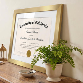 Americanflat packaging ensures safe delivery and pristine frame condition