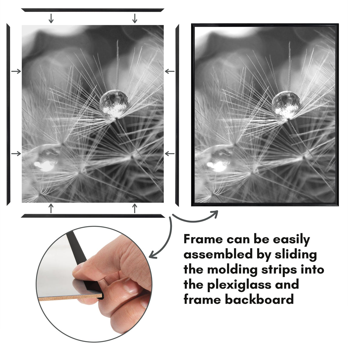 Americanflat polished PET front enhances image clarity and presentation.