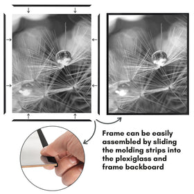 Americanflat polished PET front enhances image clarity and presentation.