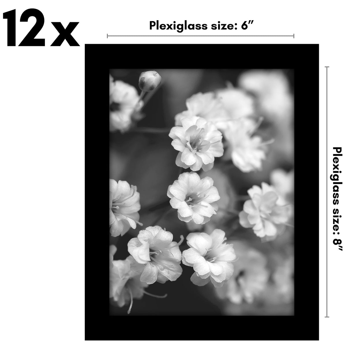 Americanflat set of 12 black frames creates cohesive wall art.