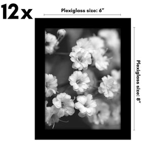 Americanflat set of 12 black frames creates cohesive wall art.