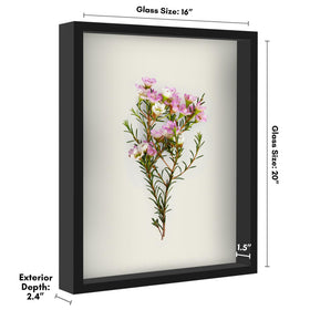 Americanflat 16x20 shadow box interior showing 1.5-inch depth for keepsakes