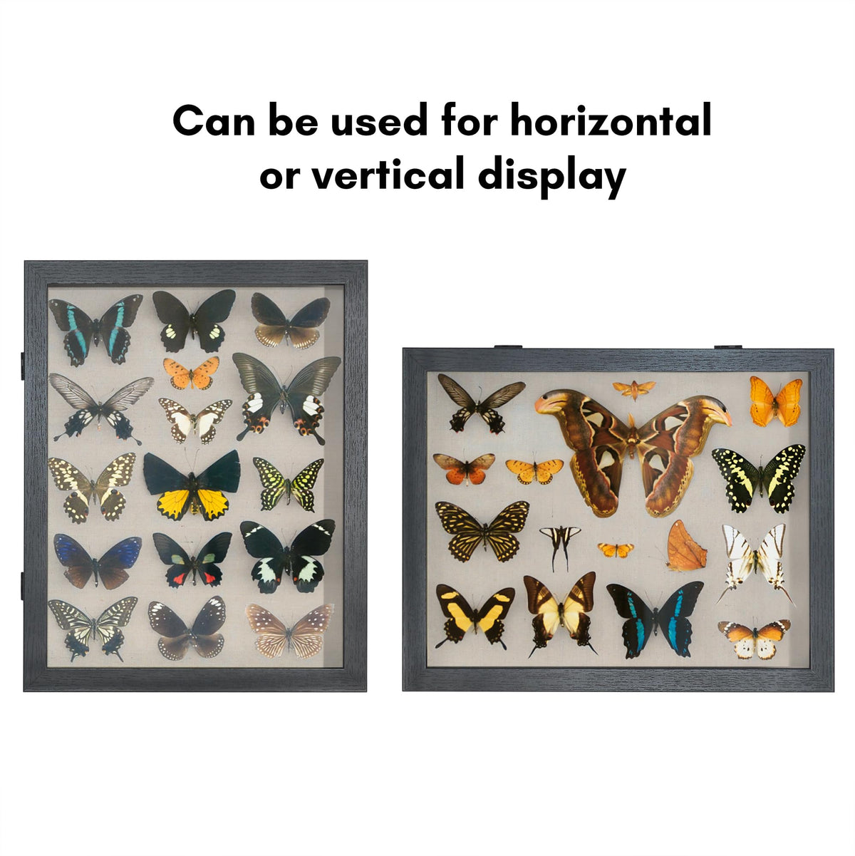 Americanflat magnetic closure backboard keeps display items in place.