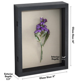 Americanflat shadow box with shatter-resistant glass offers clear visibility and protection.