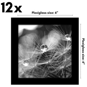 Americanflat Signature Collection black frame highlights photos with modern display.