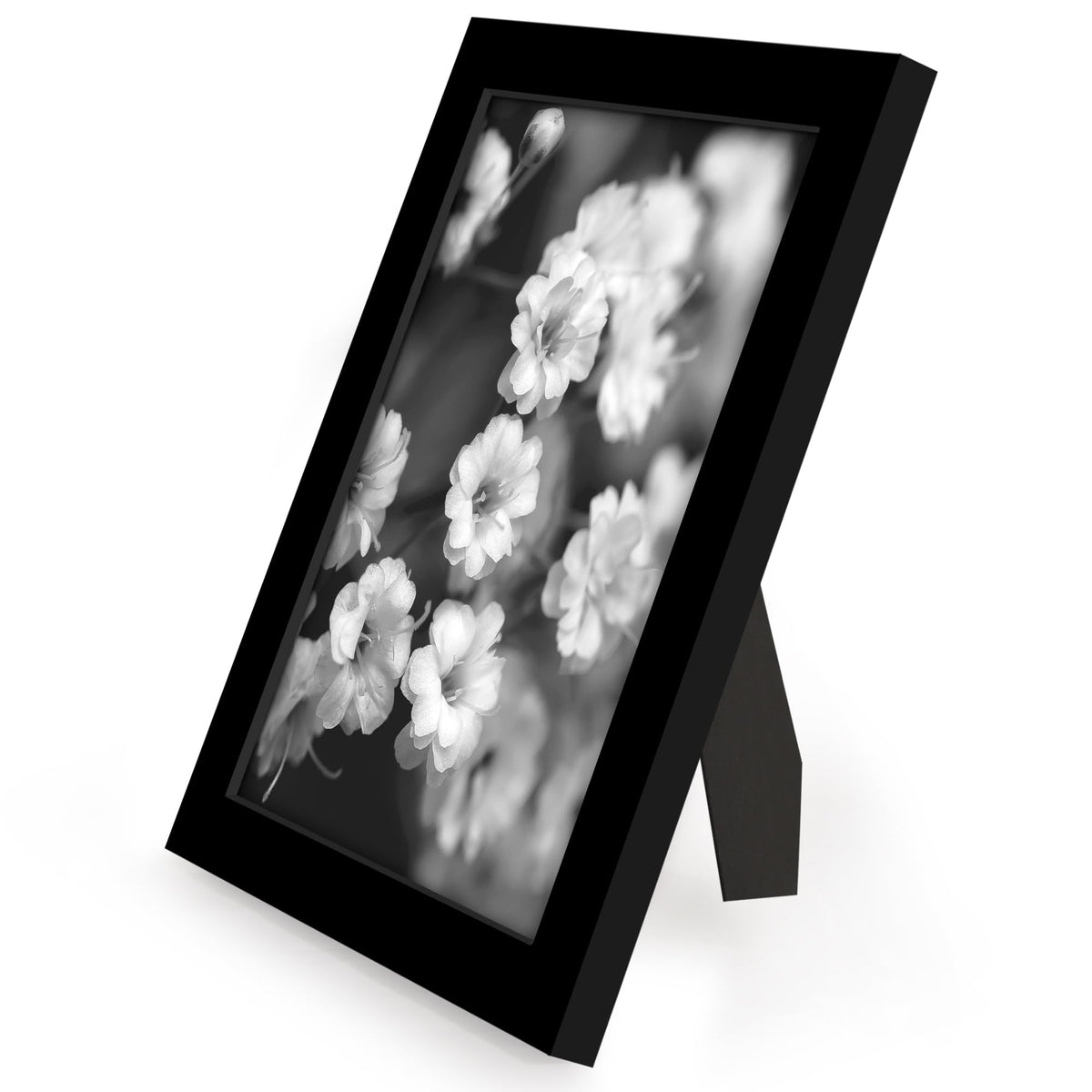 Americanflat Signature Collection frames complement home or office decor.