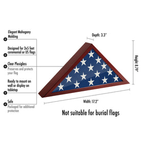 Americanflat Silhouette collection plexiglass-front case protects ceremonial flag on wall
