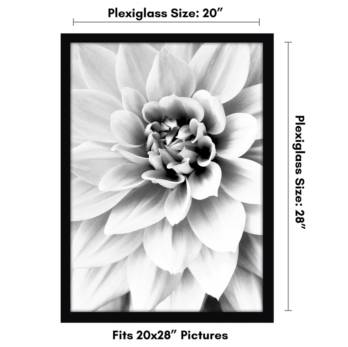 Americanflat wide molding engineered wood black frame enhances oversized prints