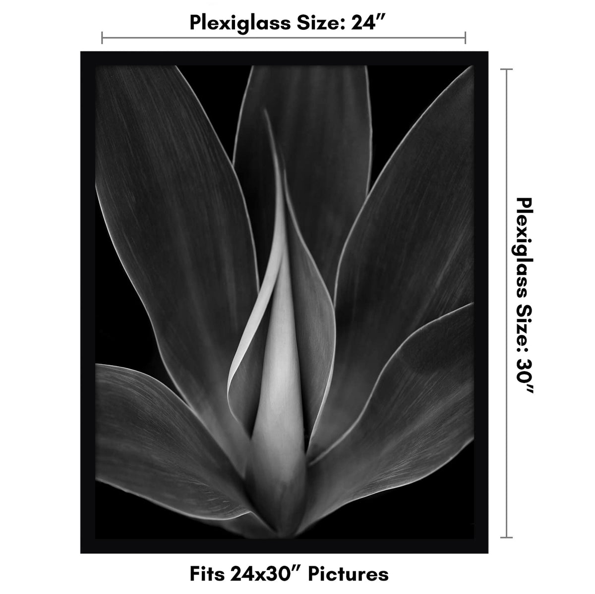 Americanflat wide-molding black frame enhances wall décor with a gallery-ready look.