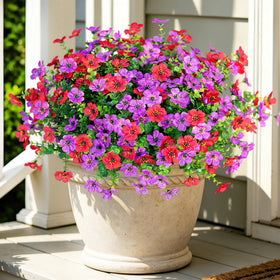 Ammyoo 12-pack outdoor daisy bundles in purple and red brighten the front door.