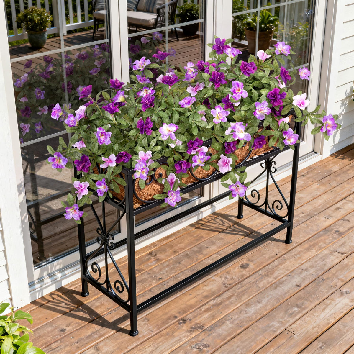 Ammyoo azalea balcony accent adding color to a sunlit balcony corner.