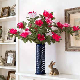 Ammyoo color-rich azalea blooms suit indoor and outdoor decor well.