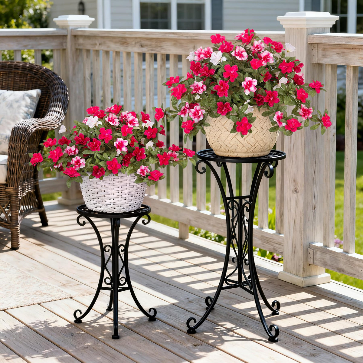 Ammyoo maintenance-free azalea blooms save time with year-round charm.