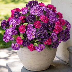 Ammyoo artificial geranium flowers for outdoors brighten patios with lasting color