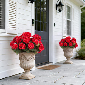 Ammyoo UV-resistant geraniums maintain color for long outdoor display.