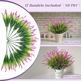 Ammyoo greenery on a windowsill brightening indoor space