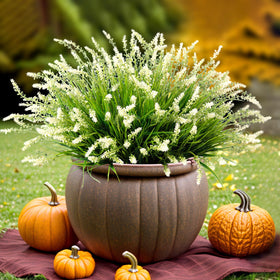 Ammyoo artificial monkey grass with 12 bundles for lush, low-maintenance landscaping.
