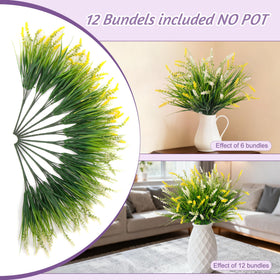 Ammyoo monkey grass suits weddings and events with evergreen charm.