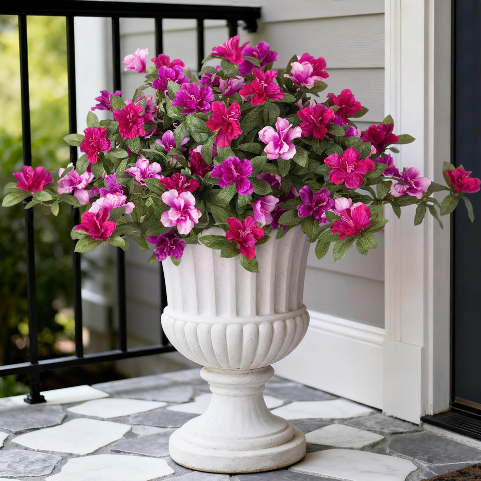 Ammyoo azalea outdoor bloom close-up highlighting UV-resistant color.