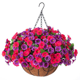Ammyoo basket hanging morning glory blooms for outdoor decor