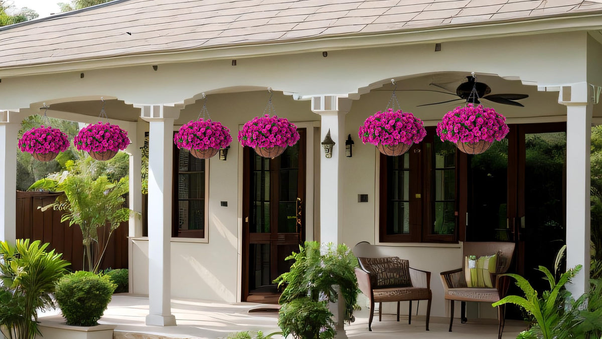 Ammyoo fuchsia blooms brighten outdoor spaces all season.