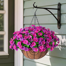 Ammyoo hanging flowers basket with morning glories adds seasonal color to patios.