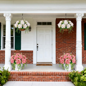 Ammyoo maintenance-free hydrangea—no watering or wilting, year-round beauty.