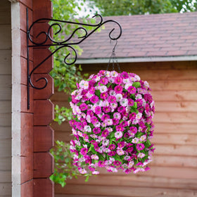 Ammyoo morning glory branches add lush realism to any porch or garden.