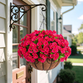 Ammyoo morning glory planter offers vibrant color without daily watering or pruning.