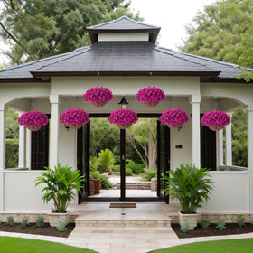 Ammyoo versatile decor for patio, deck, or balcony.
