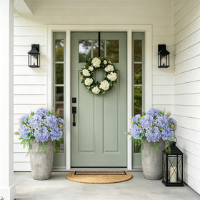 Ammyoo outdoor hydrangea plant with leaves, ideal for garden and balcony.