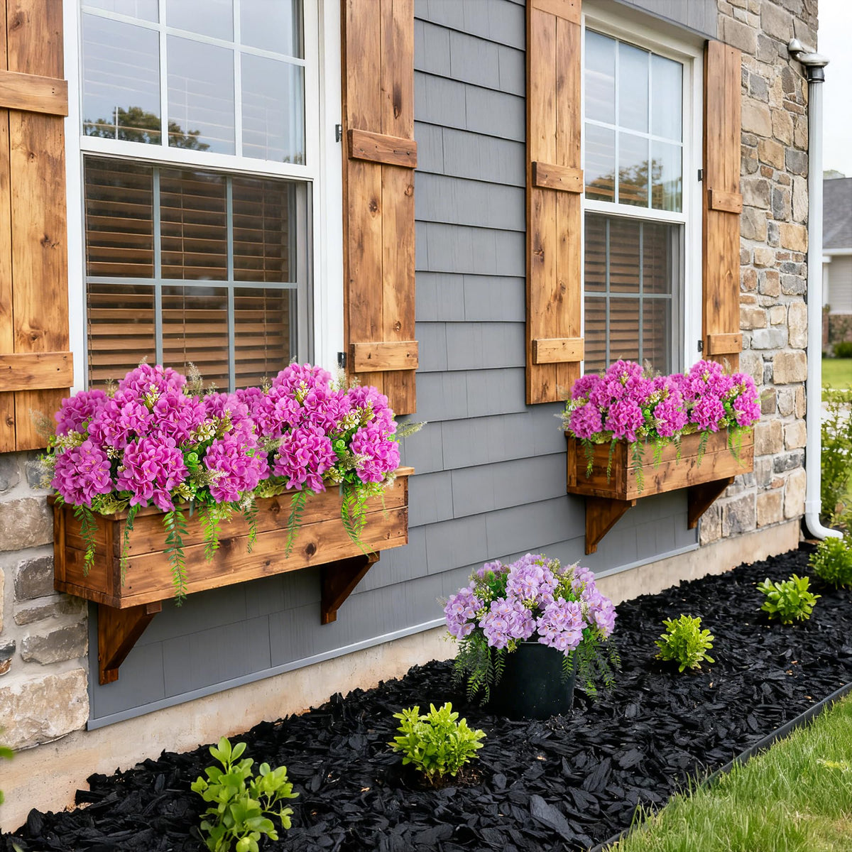 Ammyoo patio or balcony display with vibrant purple blooms.