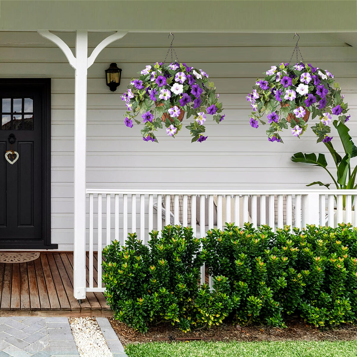 Ammyoo outdoor petunia set for front door display