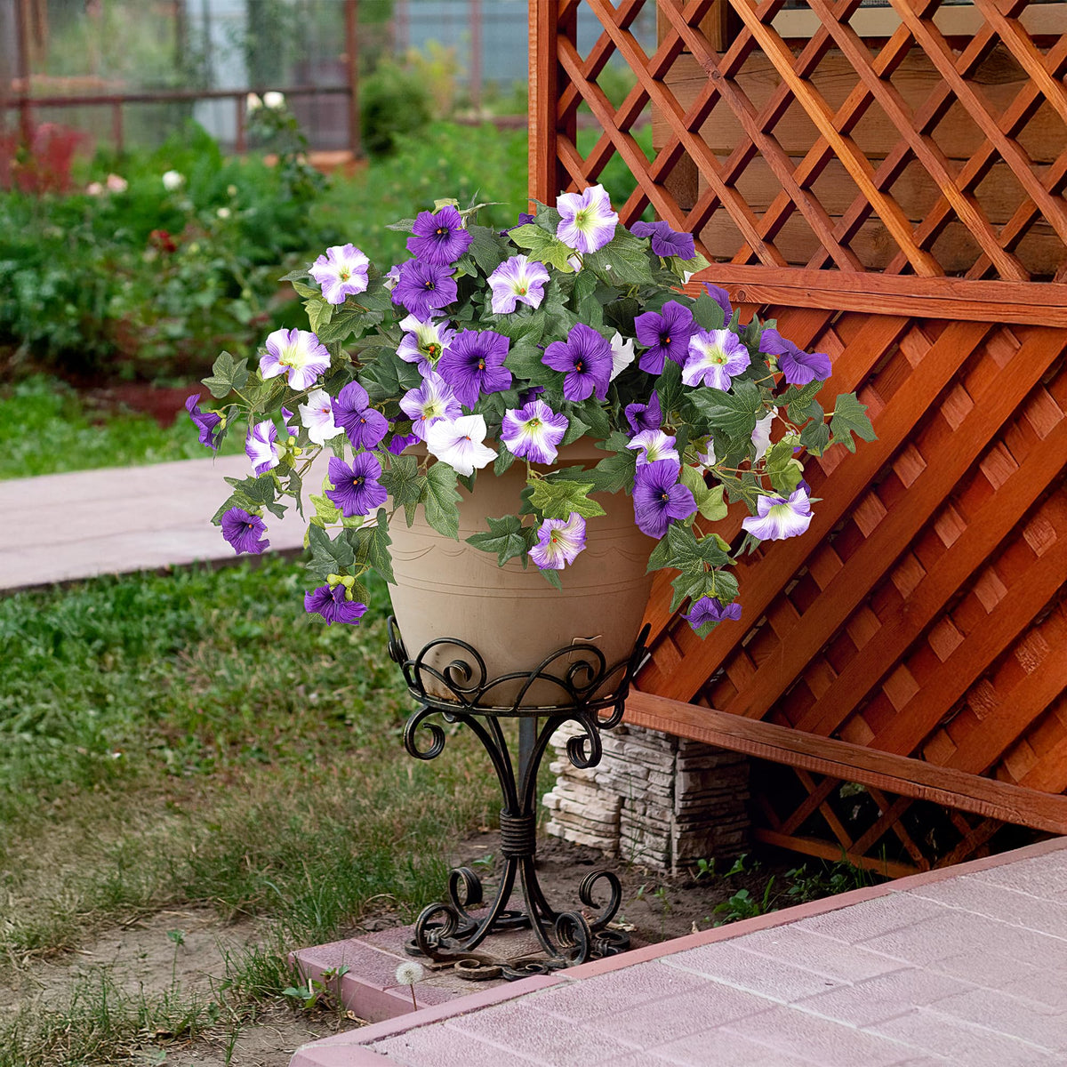 Ammyoo decorative petunias for events and gatherings
