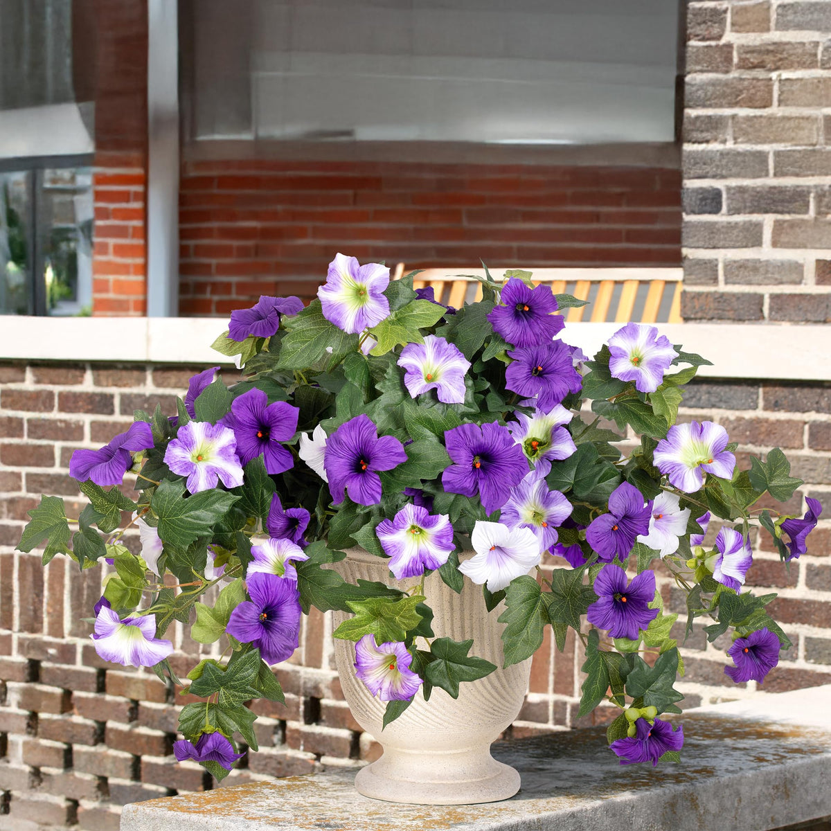 Ammyoo two-pack petunia bundles ready for decorating